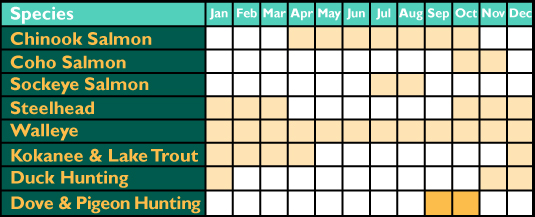 Dove-and-pigeon-calendar