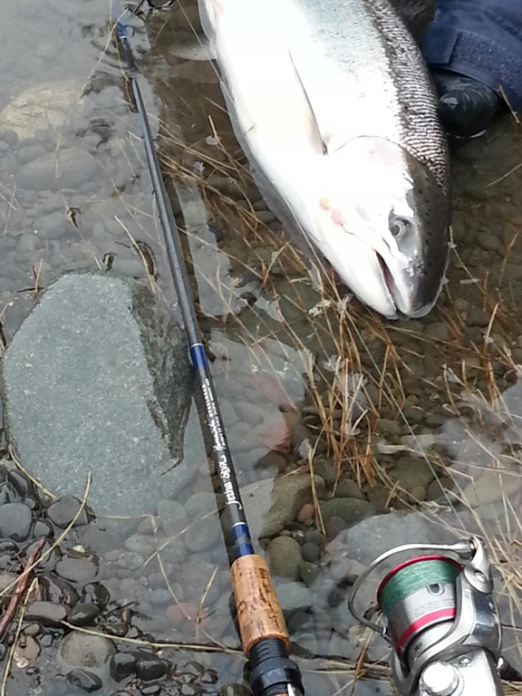 Steelhead-rod-and-reel