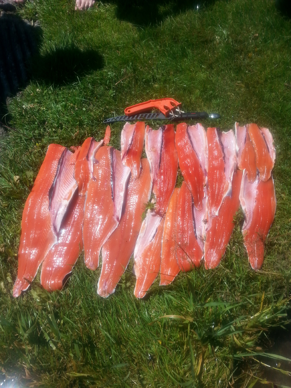 Summer-Chinook-and-sockeye-fillets