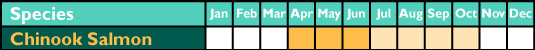 calendar chinook_salmon spring