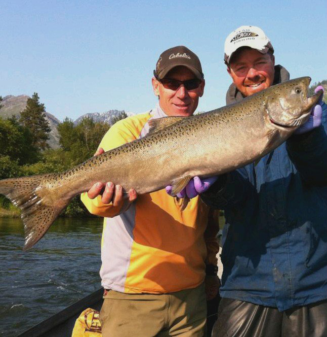 #-icicle-river-spring-chinook