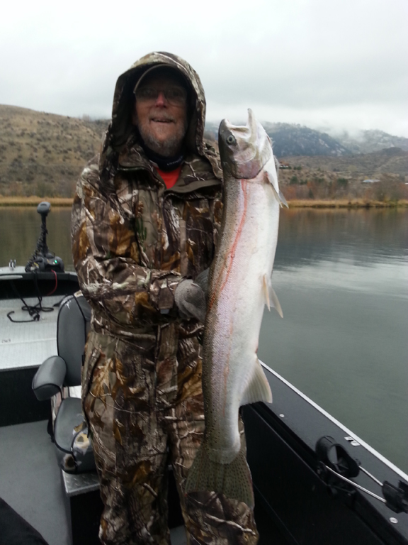 steelhead-winter