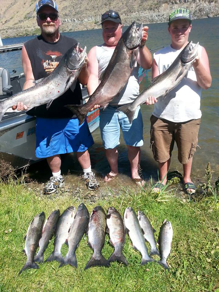 summer-chinook-and-sockeye-wells-dam