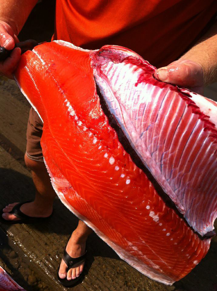 #-summer-chinook-fillet