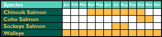 catching-calendar-2022 catching-calendar-2022