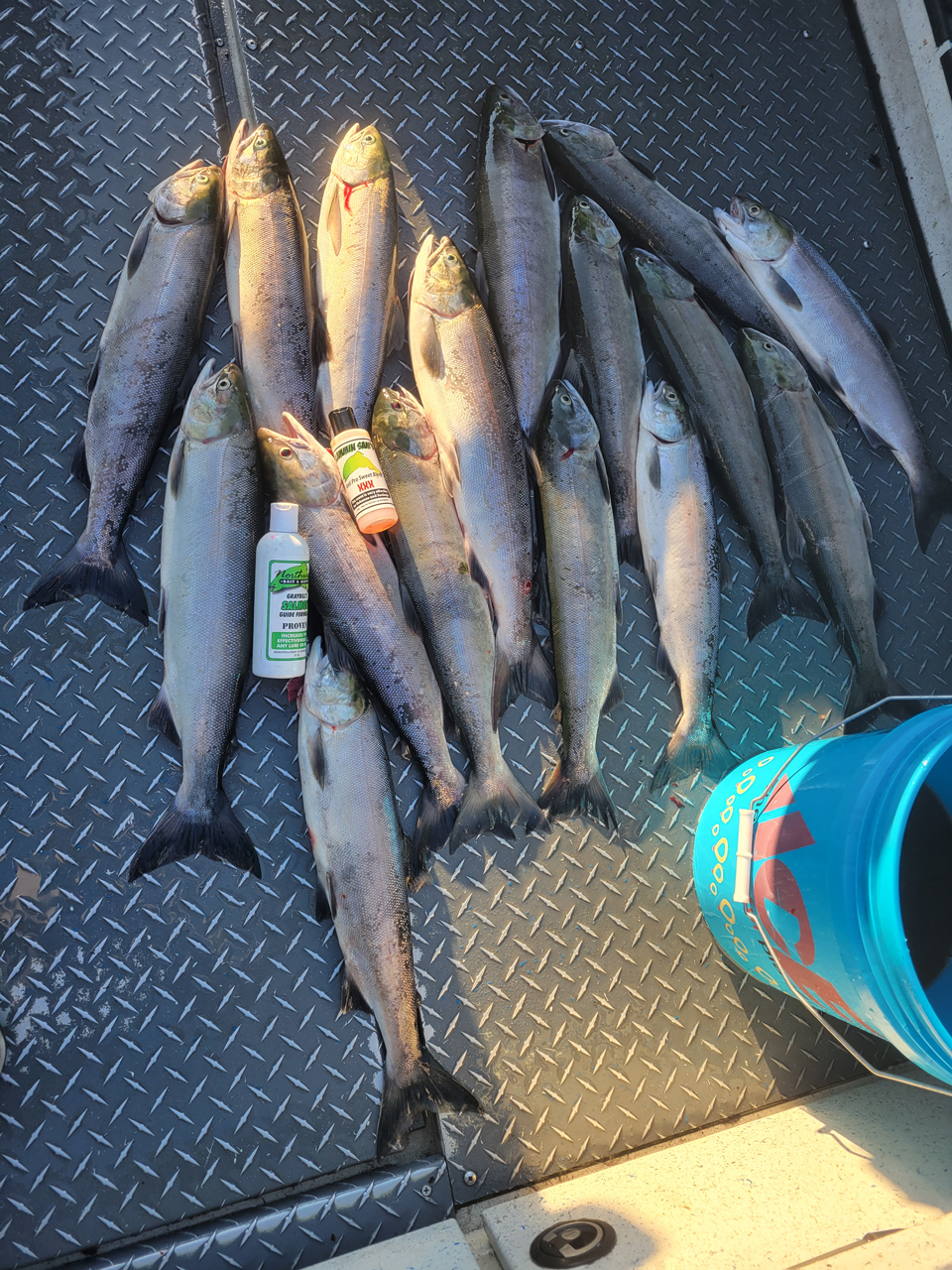 Sockeye-Fishing-3