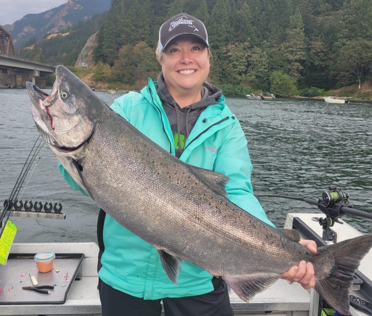 Fall King Salmon Columbia River Fall King Salmon Columbia River